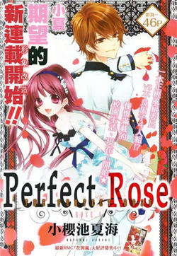 ǾޱPerfect Rose